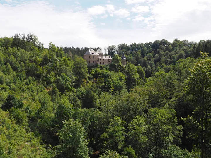 Chateau de Reinhardstein (België)